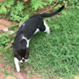 Meet your Posher, Nisha